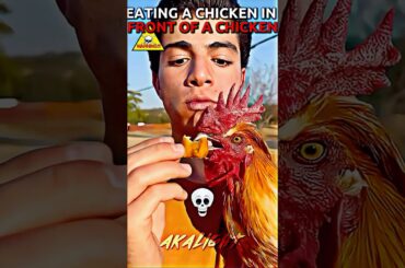 what if u eat chicken in front of a chicken? #trollface #edit #troll