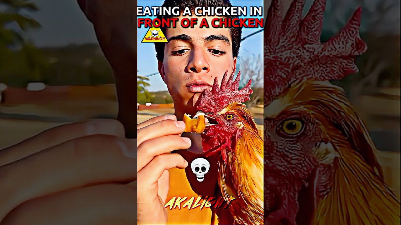 what if u eat chicken in front of a chicken? #trollface #edit #troll what if u eat chicken in front of a chicken? #trollface #edit #troll