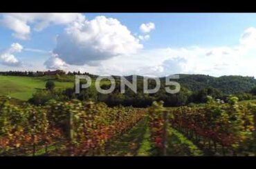 Vineyard Toscana - Drone Shot - Italien Wine - Tuscany Italy - 4k Stock Footage