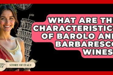 What Are the Characteristics of Barolo and Barbaresco Wines? - Story Of Italy