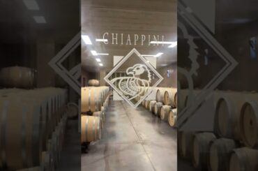 Why Is This Italian Wine Region Making Everyone Talk?