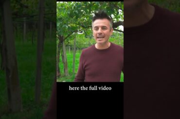 AMARONE WINE VALPOLICELLA ITALY