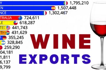 20 Countries Are Dominating The WORLD Of WINE EXPORTS