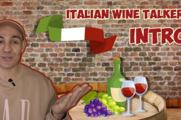 Italian Wine Talker Intro