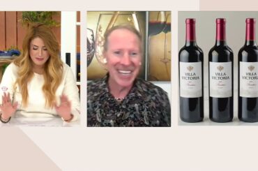 Vino Voyage Wine Favorites (3)or(12) 750mL Btls California & Italian Wines on QVC