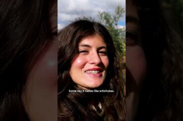 I met with Anna Maria a small olive oil producer in Ruvo di Puglia, Italy