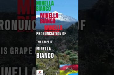 How to Pronounce Minella Bianco #howtopronounce #italy #wine #shorts