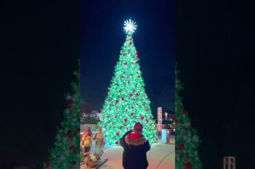 christmas tree lighting countdown