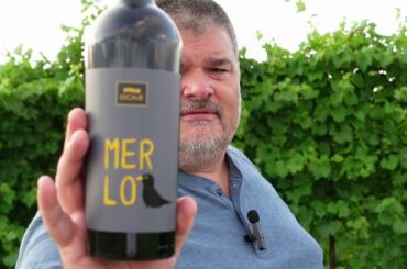 STAGGERING - Cesarini Sartori 2019 Merlo (Italy)