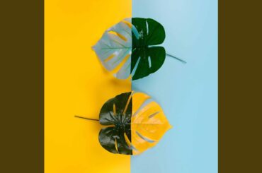 Magical Ambience for Deluxe Italian Dining