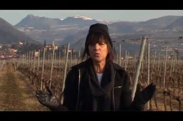 Regional Italian Cuisine Buglioni Winery