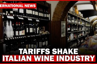 Italian Wine Producers Struggle Amid Rising Tariffs and Export Barriers