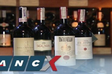 Why Italy is best in producing fine wines | ANC-X Executive Class