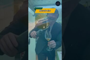 Marsala wine #shorts #grapewine #wine #winetime #grape #wineglass #masala