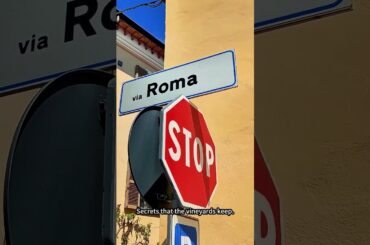 Experience the Breathtaking Beauty of Barolo Italy