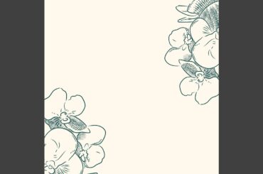 Background for Deluxe Italian Dining