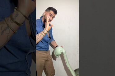 Would you try this pizza? #baker #pizzaiolo pizza contemporanea