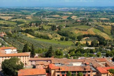 vineyards and winery on a sunny day in San Gimignano.  #italy #italian #tuscany  #sangimignano  #it