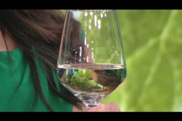 Celebrating Women's History Month with women in wine