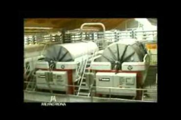 European Winery of the Year: Mezzacorona (Italy)