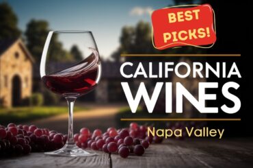 Napa Valley Wine for Beginners | The Best Bottles & Tips You’ll Wish You Knew Sooner