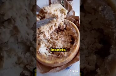 this is the most dangerous cheese in the world! but italian still ate it #shorts #foodshorts #food