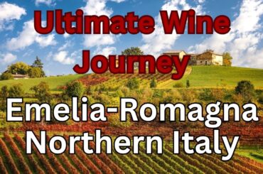 Discover Emilia Romagna   Top 5 Wine Destinations & Local Secrets
