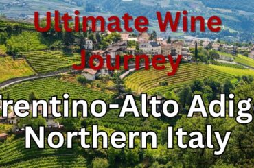 The Wine Journey They Don't Want You To Know About - The Glorious Trentino-Alto Adige
