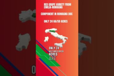 How to Pronounce Centesimino #howtopronounce #wine #grape #italy