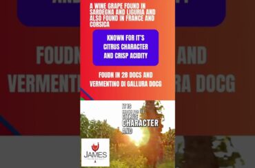 How to Pronounce Vermentino #howtopronounce #vermentino #italy #shorts