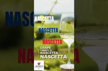 How to Pronounce Nascetta - #howtopronounce #nascetta #shorts