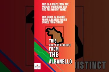 How to Pronounce Albanella #italy #howtopronounce #wine #shorts