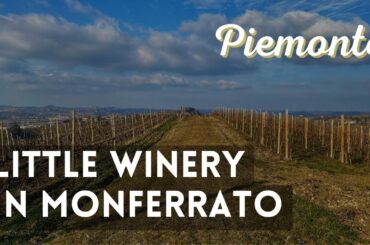 Little vinery in the Monferrato wine land - Nizza Monferrato - Italy