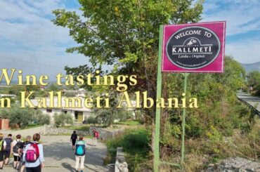 Wine tasting in Kallmetia, Albania