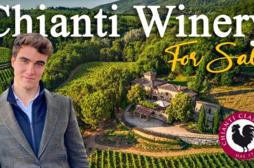 BOUTIQUE WINERY WITH RESTORED VILLA FOR SALE IN GREVE IN CHIANTI, TUSCANY