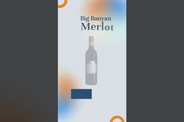 Best Wines Under Rs.1000 #shorts