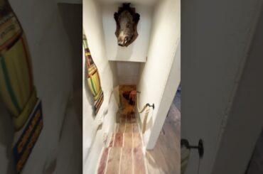 Inside a Medieval Wine Cave - Monteriggioni, Italy