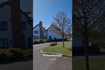 Reviw of The Prince George | Sunday Roast | Milton Keynes #miltonkeynes  #sundayroast