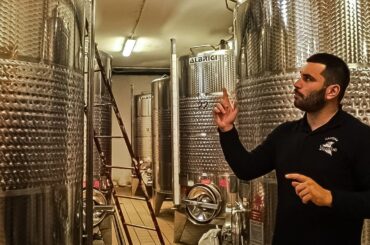 How Wine Is Made Inside the Production