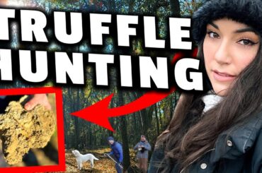 The Biggest White Truffle In Italy!? | Sasha Grey