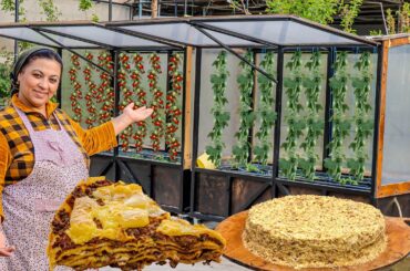 Italian Cuisine Tomato Lasagna! I made a greenhouse on wheels! Napoleon Cake