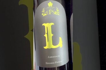 Mucci Imports Italian Wine Celebration at Mother Pizzeria #shorts