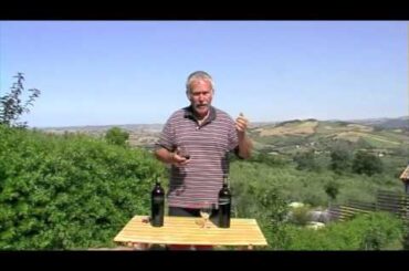 Italy Vino 31 - Cantina Orsogna. Italy's 'Winery of the Year' 2012