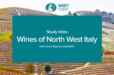 Study bites: wines of North West Italy (WSET Level 3 wine)