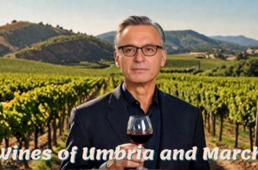 The Underrated Wines of Umbria & Marche