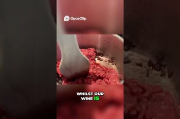 #lasagne #cooking #italy #italianfood #chef #opusclip #subscribe #italian #shorts #italiancooking