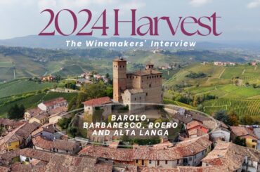 2024 Piemonte Wine Harvest: What LOCAL Winemakers Have to Say about the vintage
