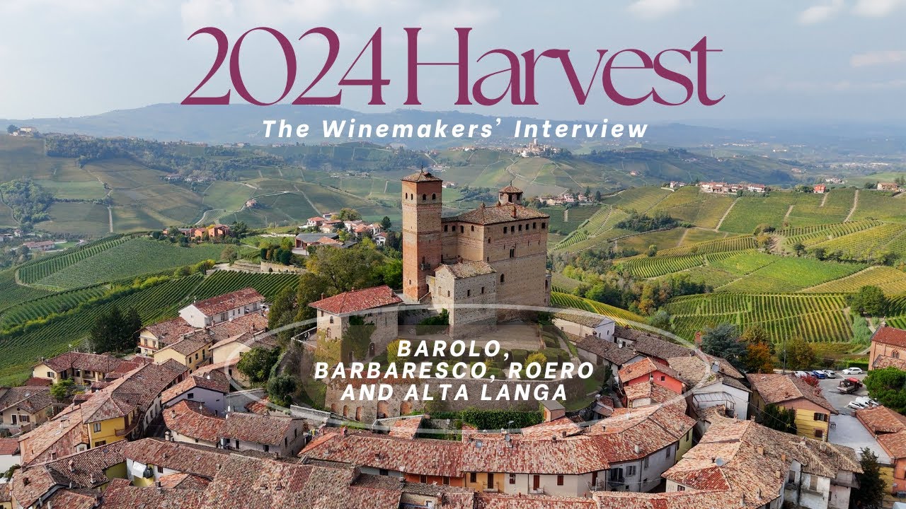2024 Piemonte Wine Harvest: What LOCAL Winemakers Have to Say about the vintage 2024 Piemonte Wine Harvest: What LOCAL Winemakers Have to Say about the vintage