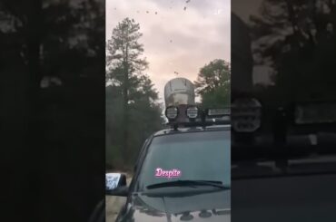 Why Italy Fires Cannons at the Sky During Storms