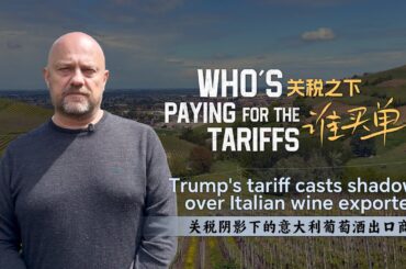 Who's paying for the tariffs: Trump's tariff casts shadow over Italian wine exporter